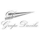 logo_davila_dogoodpeople
