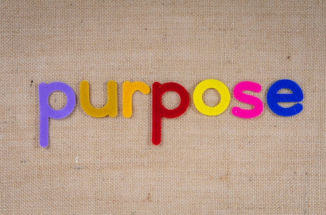 purpose driven company