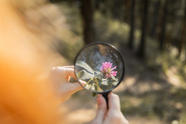 sustainability lenses