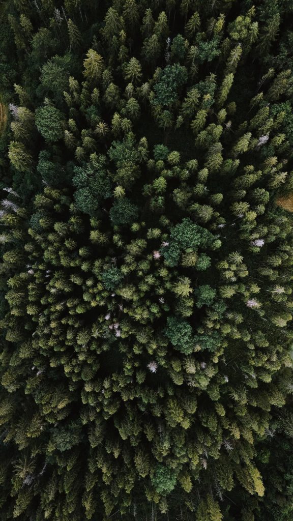 medioambiente